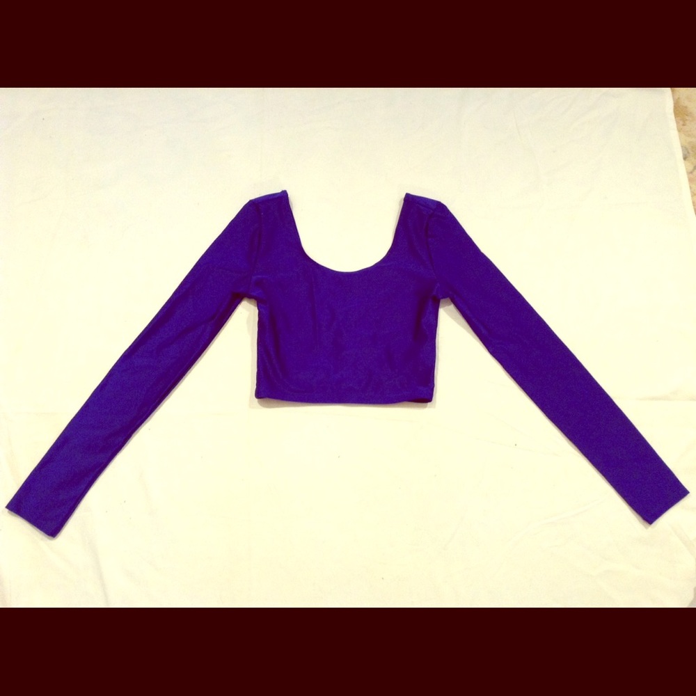 Blue Spandex Long Sleeve Crop Top